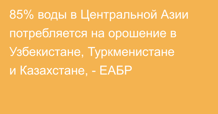 85% воды в Центральной Азии потребляется на орошение в Узбекистане, Туркменистане и Казахстане, - ЕАБР