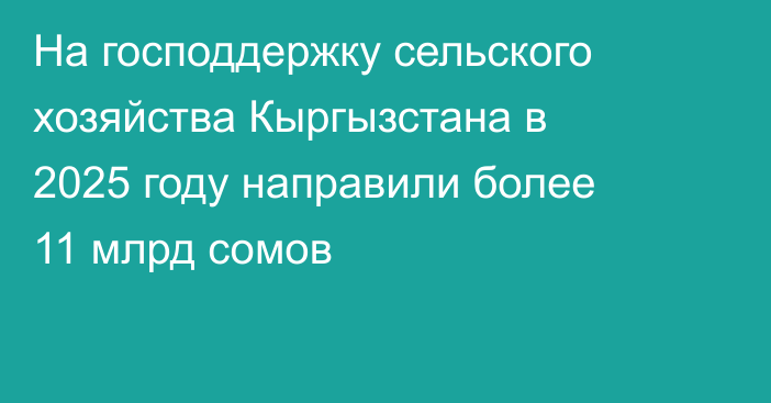 На господдержку сельского хозяйства Кыргызстана в 2025 году направили более 11 млрд сомов