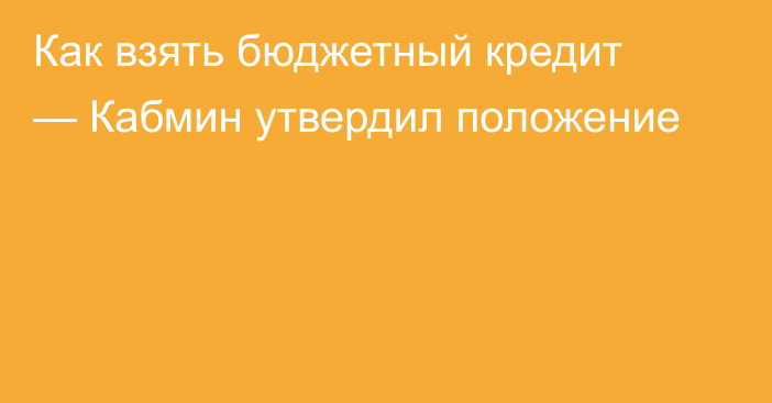 Как взять бюджетный кредит — Кабмин утвердил положение
