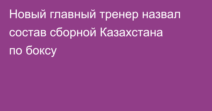 Новый главный тренер назвал состав сборной Казахстана по боксу