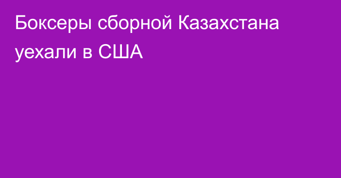 Боксеры сборной Казахстана уехали в США