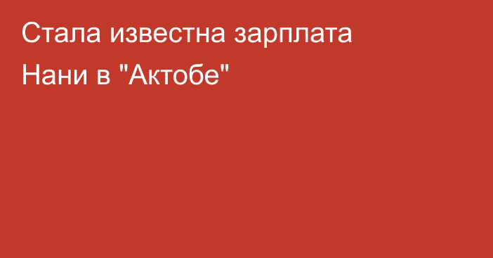 Стала известна зарплата Нани в 