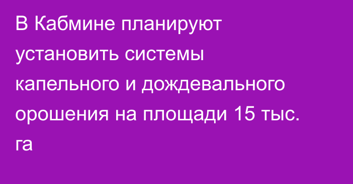 В Кабмине планируют установить системы капельного и дождевального орошения на площади 15 тыс. га