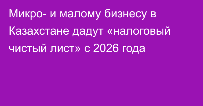 Микро- и малому бизнесу в Казахстане дадут «налоговый чистый лист» с 2026 года