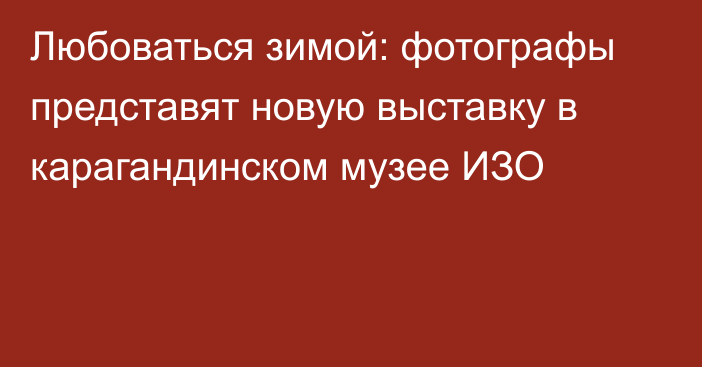 Любоваться зимой: фотографы представят новую выставку в карагандинском музее ИЗО
