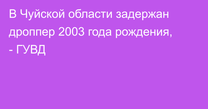 В Чуйской области задержан дроппер 2003 года рождения, - ГУВД