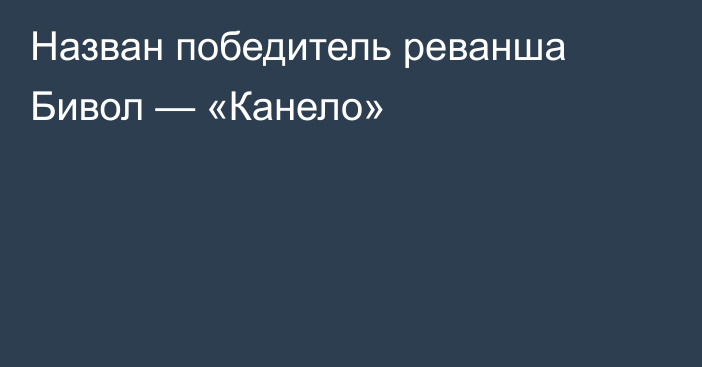 Назван победитель реванша Бивол — «Канело»