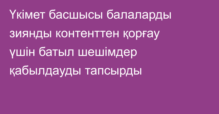 Үкімет басшысы балаларды зиянды контенттен қорғау үшін батыл шешімдер қабылдауды тапсырды