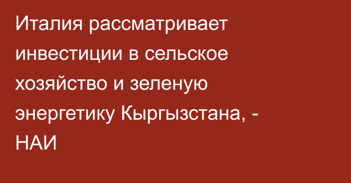 Италия рассматривает инвестиции в сельское хозяйство и зеленую энергетику Кыргызстана, - НАИ