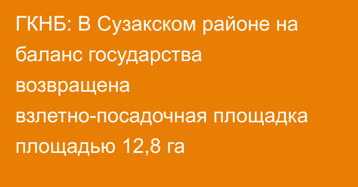 ГКНБ: В Сузакском районе на баланс государства возвращена взлетно-посадочная площадка площадью 12,8 га
