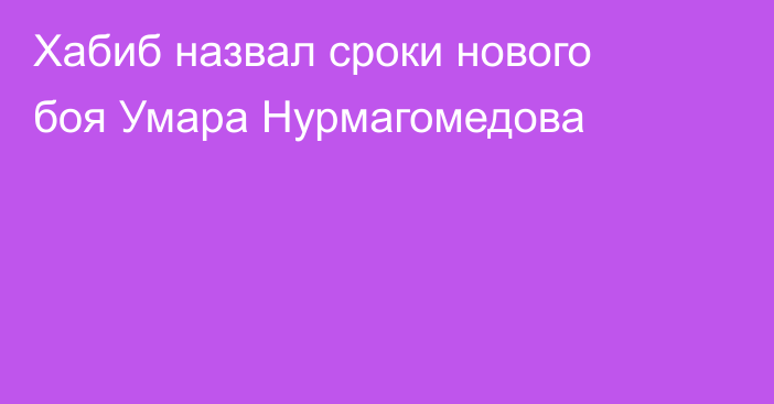 Хабиб назвал сроки нового боя Умара Нурмагомедова