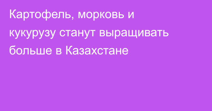 Картофель, морковь и кукурузу станут выращивать больше в Казахстане