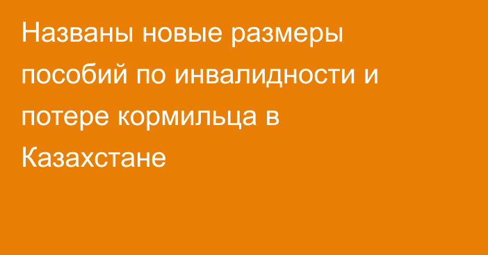 Названы новые размеры пособий по инвалидности и потере кормильца в Казахстане