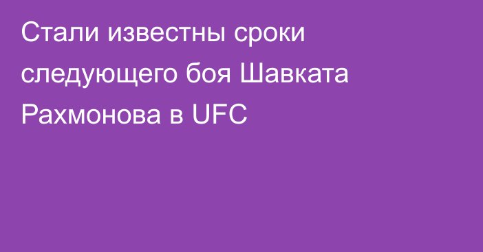 Стали известны сроки следующего боя Шавката Рахмонова в UFC