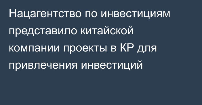 Нацагентство по инвестициям представило китайской компании проекты в КР для привлечения инвестиций