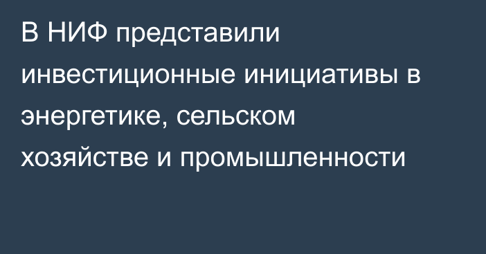 В НИФ представили инвестиционные инициативы в энергетике, сельском хозяйстве и промышленности