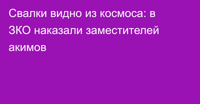 Свалки видно из космоса: в ЗКО наказали заместителей акимов