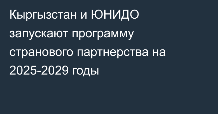 Кыргызстан и ЮНИДО запускают программу странового партнерства на 2025-2029 годы