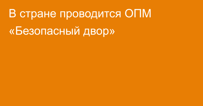 В стране проводится ОПМ «Безопасный двор»