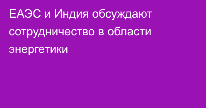 ЕАЭС и Индия обсуждают сотрудничество в области энергетики