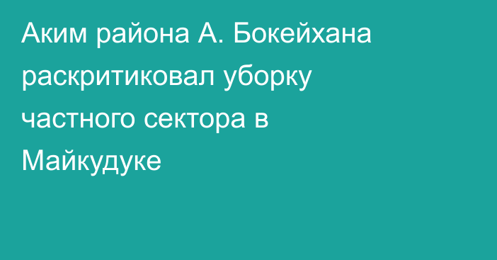 Аким района А. Бокейхана раскритиковал уборку частного сектора в Майкудуке