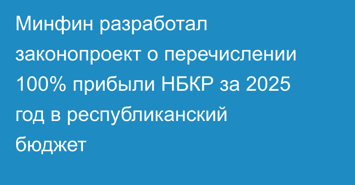 Минфин разработал законопроект о перечислении 100% прибыли НБКР за 2025 год в республиканский бюджет