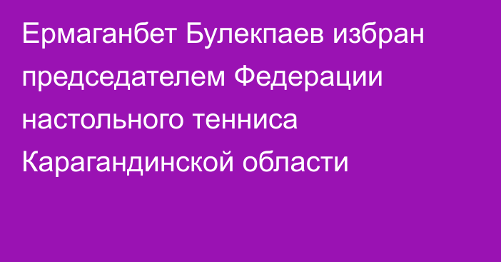 Ермаганбет Булекпаев избран председателем Федерации настольного тенниса Карагандинской области
