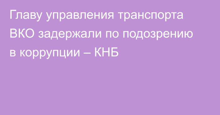 Главу управления транспорта ВКО задержали по подозрению в коррупции – КНБ