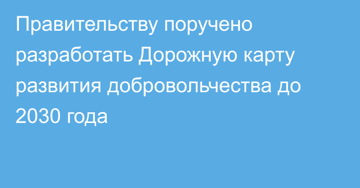 Правительству поручено разработать Дорожную карту развития добровольчества до 2030 года