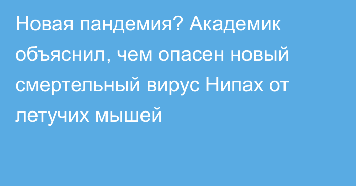 Новая пандемия? Академик объяснил, чем опасен новый смертельный вирус Нипах от летучих мышей