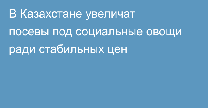 В Казахстане увеличат посевы под социальные овощи ради стабильных цен