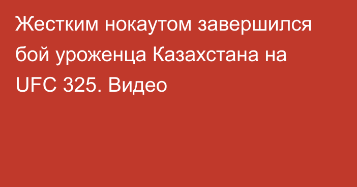 Жестким нокаутом завершился бой уроженца Казахстана на UFC 325. Видео