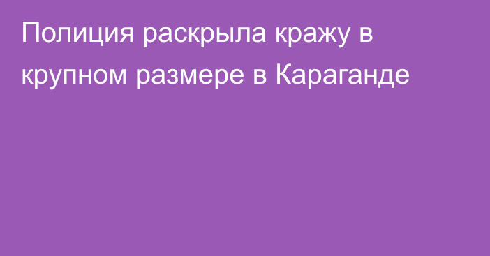 Полиция раскрыла кражу в крупном размере в Караганде