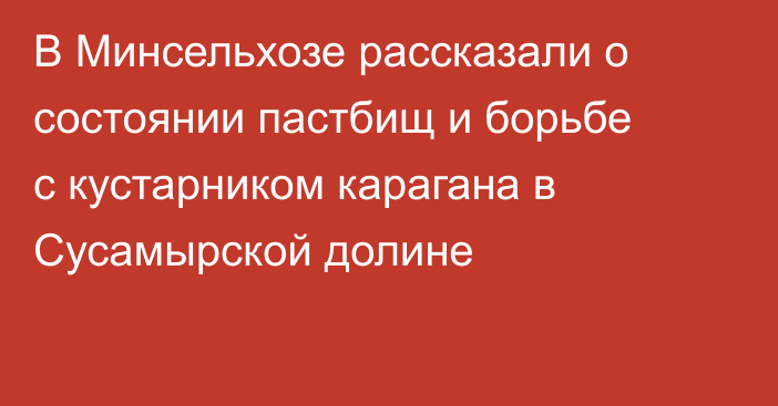 В Минсельхозе рассказали о состоянии пастбищ и борьбе с кустарником карагана в Сусамырской долине