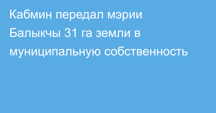 Кабмин передал мэрии Балыкчы 31 га земли в муниципальную собственность