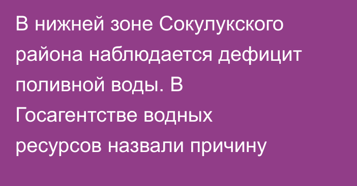 В нижней зоне Сокулукского района наблюдается дефицит поливной воды. В Госагентстве водных ресурсов назвали причину