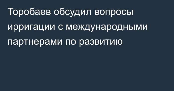 Торобаев обсудил вопросы ирригации с международными партнерами по развитию