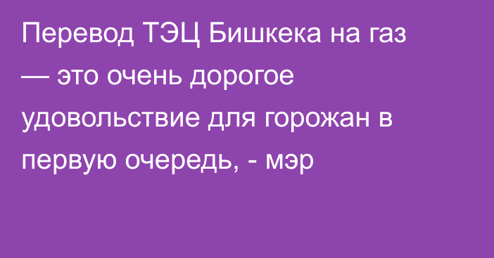 Перевод ТЭЦ Бишкека на газ — это очень дорогое удовольствие для горожан в первую очередь, - мэр