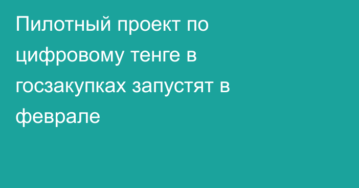 Пилотный проект по цифровому тенге в госзакупках запустят в феврале