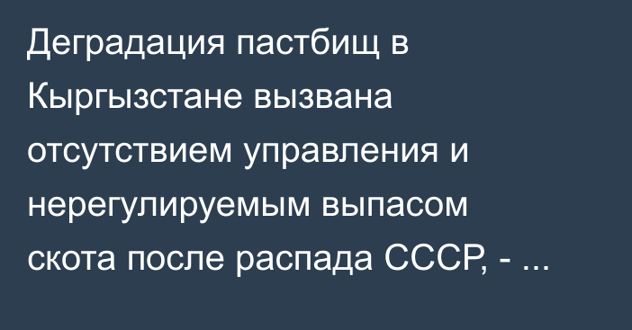Деградация пастбищ в Кыргызстане вызвана отсутствием управления и нерегулируемым выпасом скота после распада СССР, - Минсельхоз