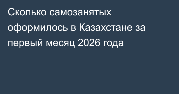 Сколько самозанятых оформилось в Казахстане за первый месяц 2026 года