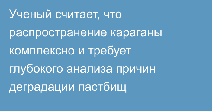 Ученый считает, что распространение караганы комплексно и требует глубокого анализа причин деградации пастбищ