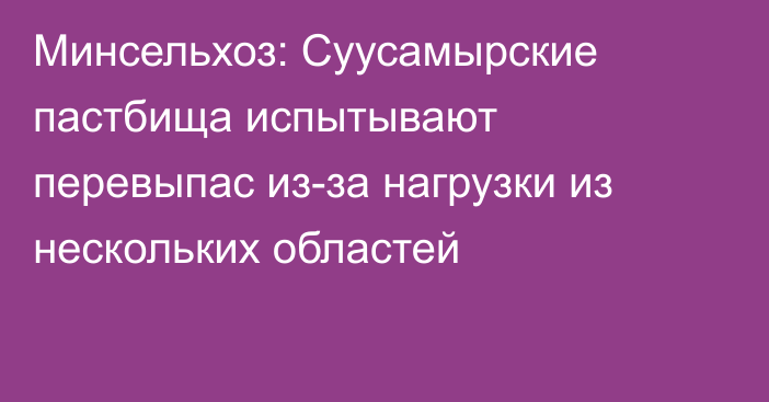 Минсельхоз: Суусамырские пастбища испытывают перевыпас из-за нагрузки из нескольких областей