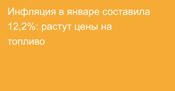 Инфляция в январе составила 12,2%: растут цены на топливо