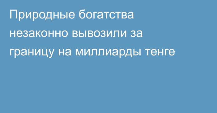 Природные богатства незаконно вывозили за границу на миллиарды тенге