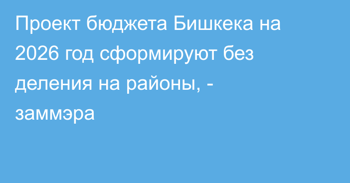 Проект бюджета Бишкека на 2026 год сформируют без деления на районы, - заммэра