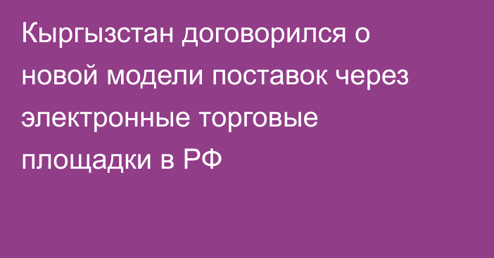 Кыргызстан договорился о новой модели поставок через электронные торговые площадки в РФ