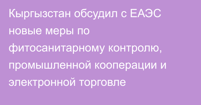Кыргызстан обсудил с ЕАЭС новые меры по фитосанитарному контролю, промышленной кооперации и электронной торговле 
