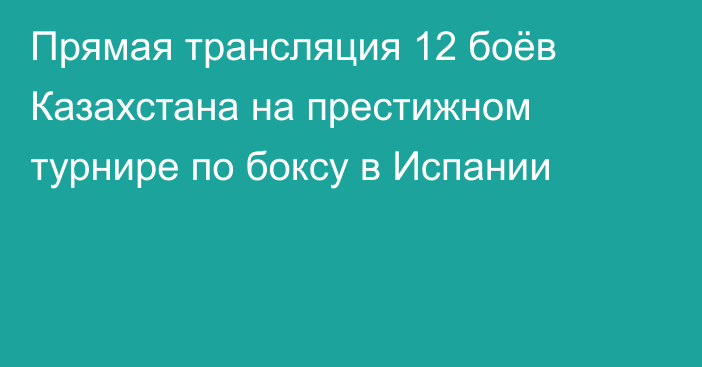 Прямая трансляция 12 боёв Казахстана на престижном турнире по боксу в Испании