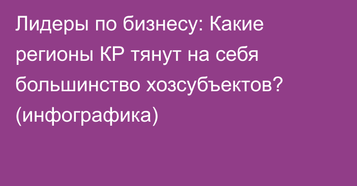 Лидеры по бизнесу: Какие регионы КР тянут на себя большинство хозсубъектов?  (инфографика)